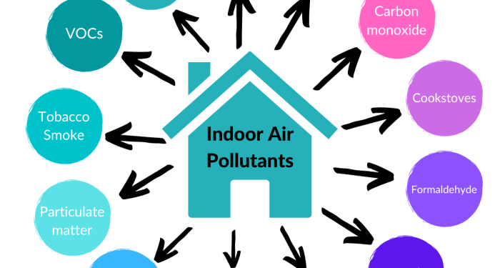 Indoor Air Quality Guide: How to Measure Air Pollution at Home - Dust ...