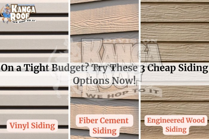 On A Tight Budget? Try These 3 Cheap Siding Options Now!